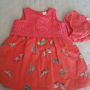 Gap butterflies dress